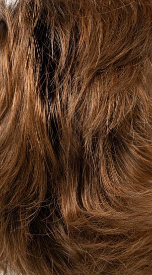 Eve I Envy - Saffron Spice image