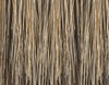 PECAN-BROWN