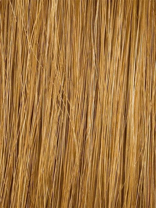 16" 100% Remy Human Hair Extensions (5 Piece) | Clip In - R6HH image